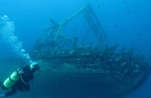 diving-225580_1920-1170x658